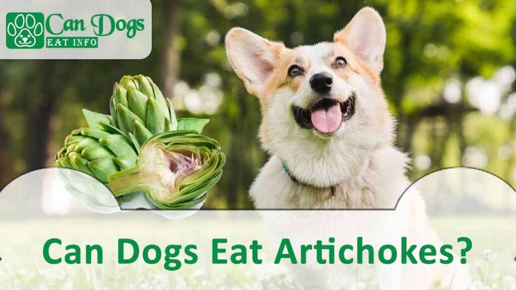 Can Dogs Eat Artichokes