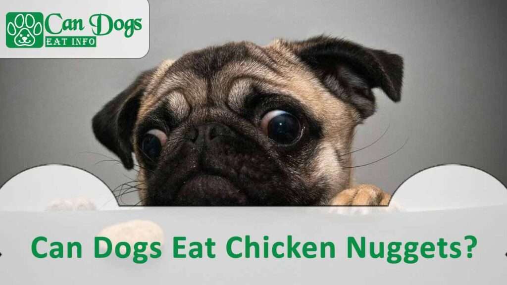 Can Dogs Eat Chicken Nuggets?