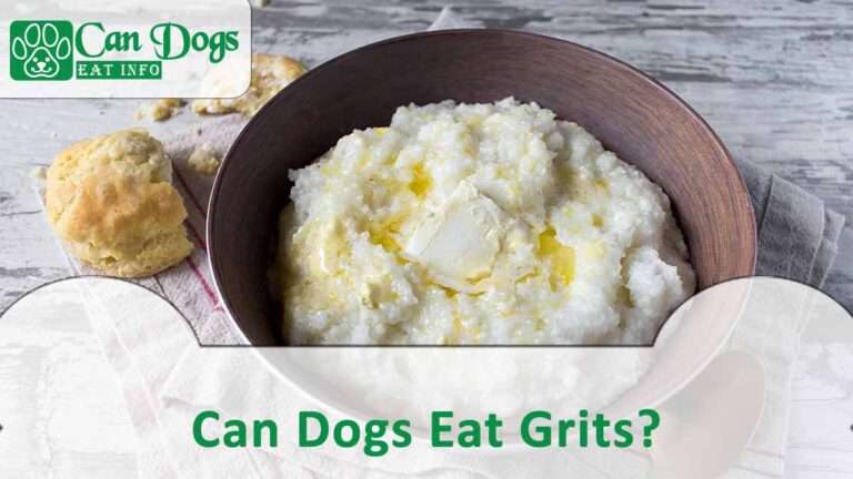 Can Dogs Eat Grits? Read Before Feeding (2024)