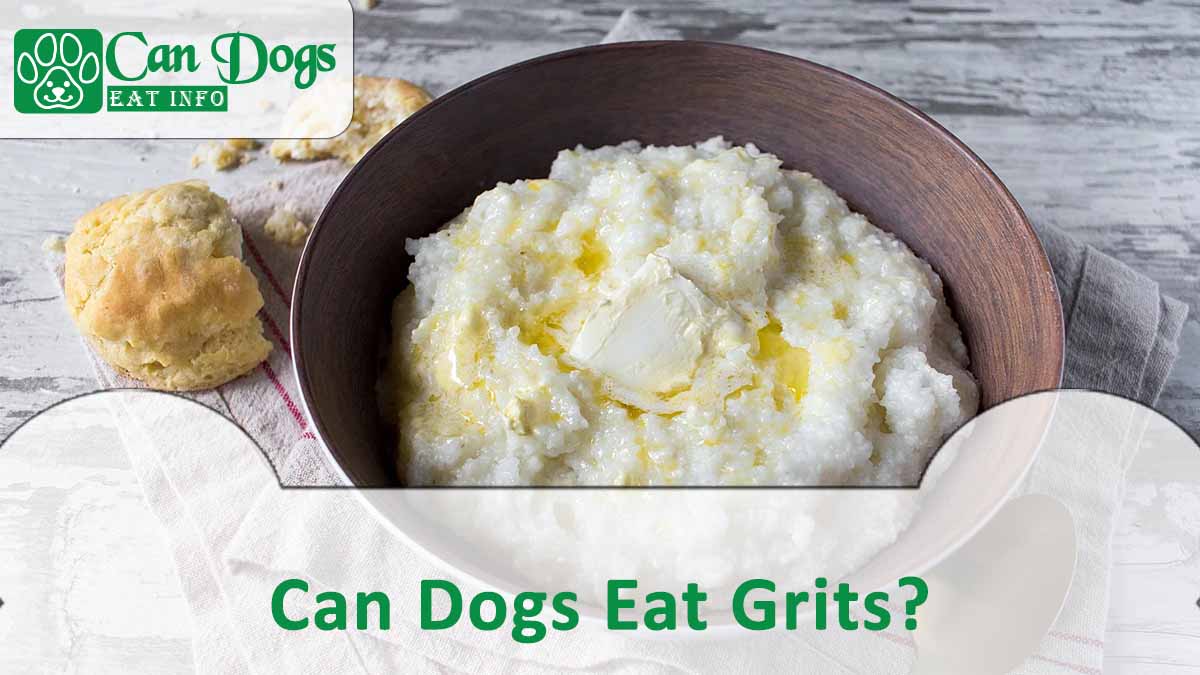 Can Dogs Eat Grits?