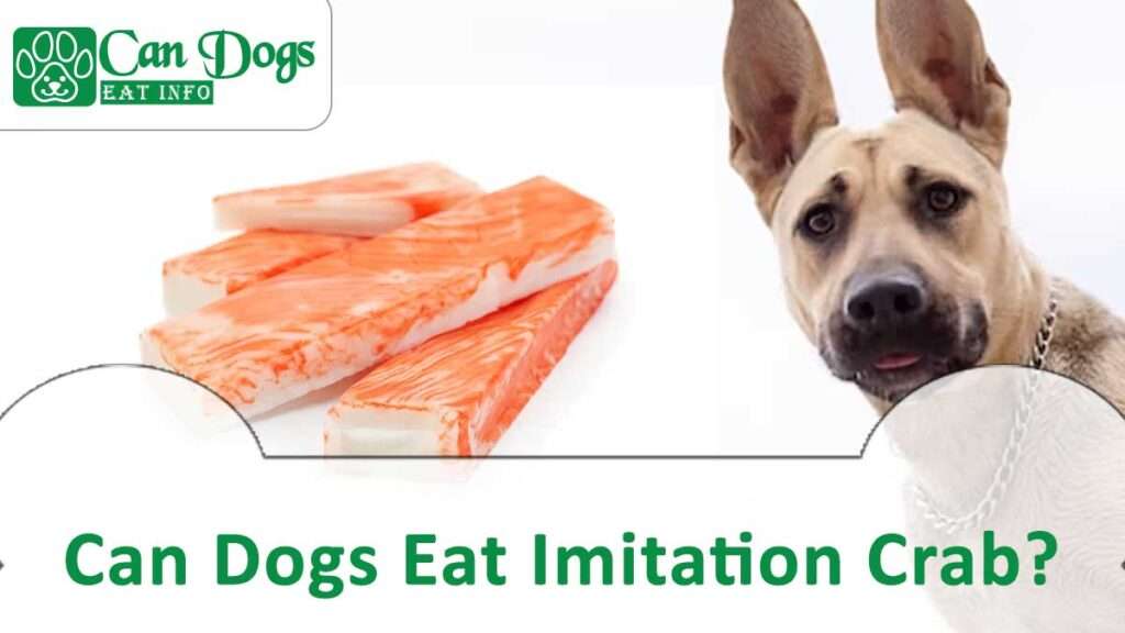 Can Dogs Eat Imitation Crab