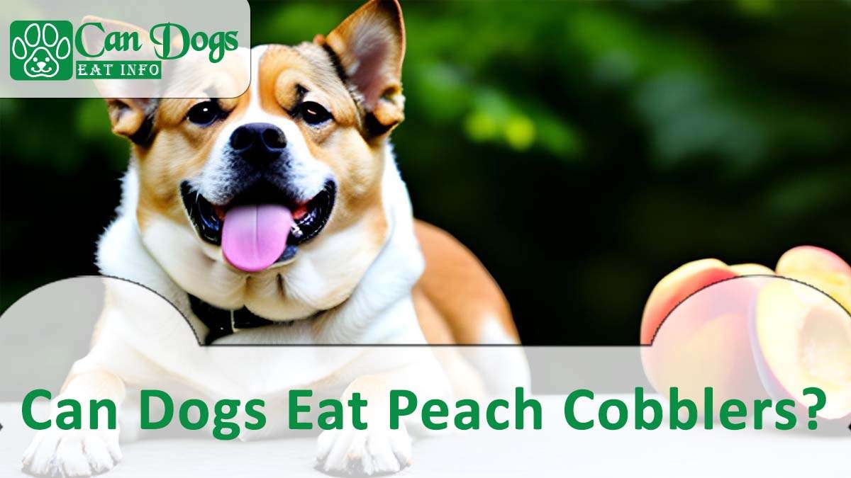 Can Dogs Eat Peach Cobblers