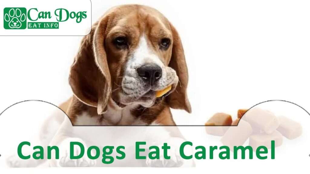 Can Dogs Eat Caramel