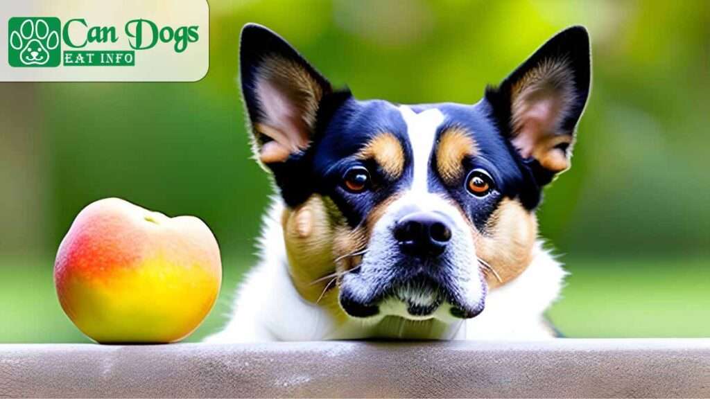 Can dogs eat quince?