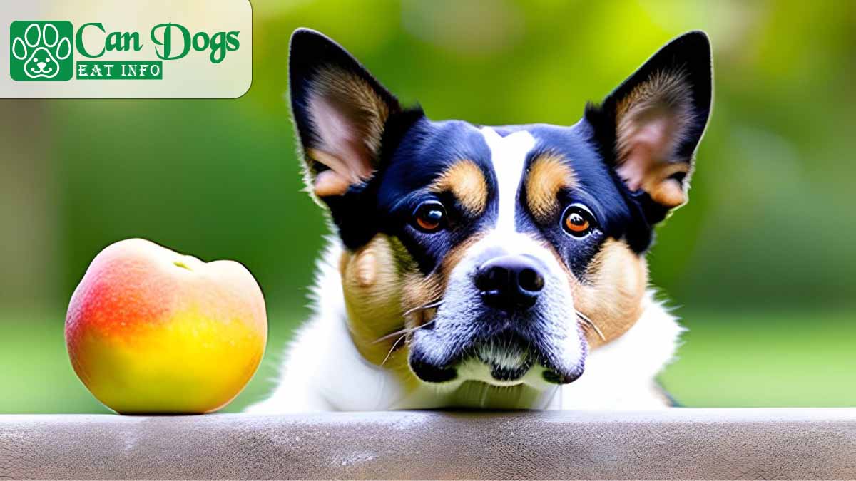 Can dogs eat quince?