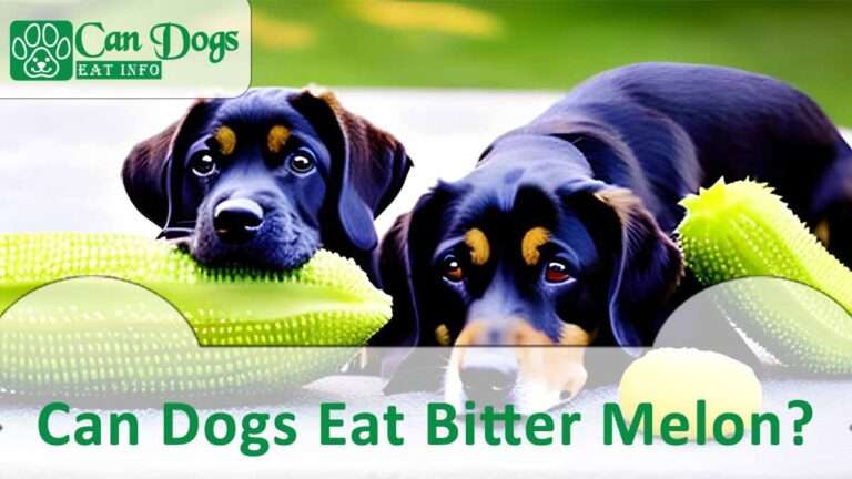 Can Dogs Eat Bitter Melon? Read Before Feeding (2024)