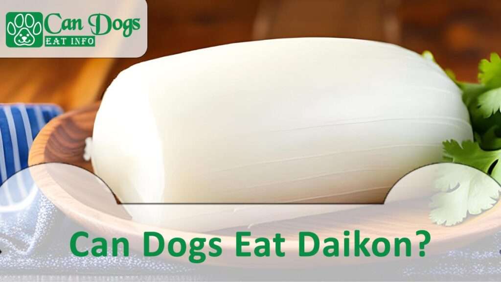 Can Dogs Eat Daikon?