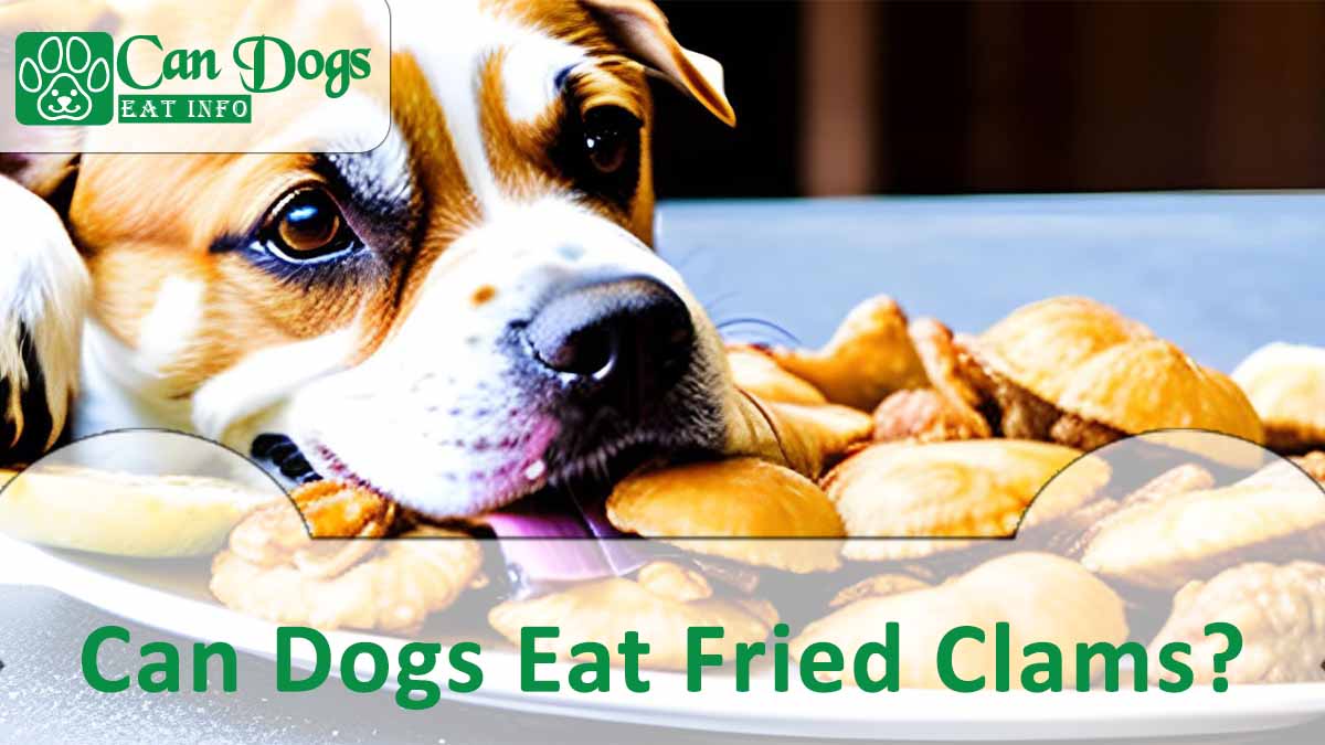 Can Dogs Eat Fried Clams?