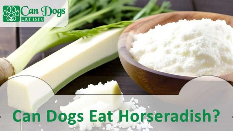 Can Dogs Eat Horseradish? Read Before Feeding (2024)
