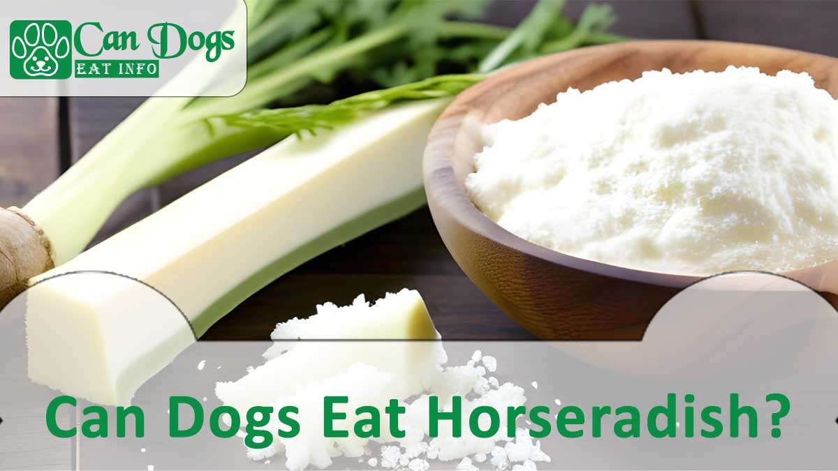 Can Dogs Eat Horseradish?
