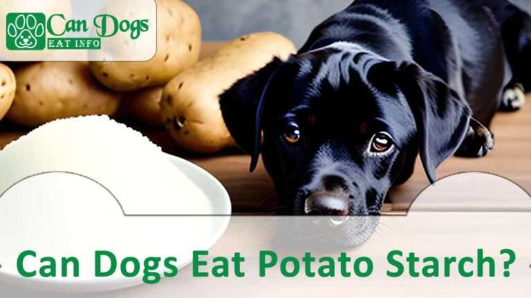Can Dogs Eat Potato Starch? Is It Safe? (2024)