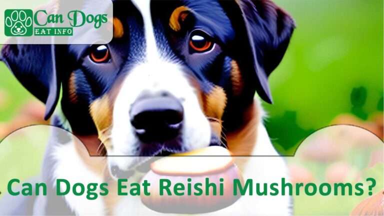 Can Dogs Eat Reishi Mushrooms? Is It Safe? (2024)