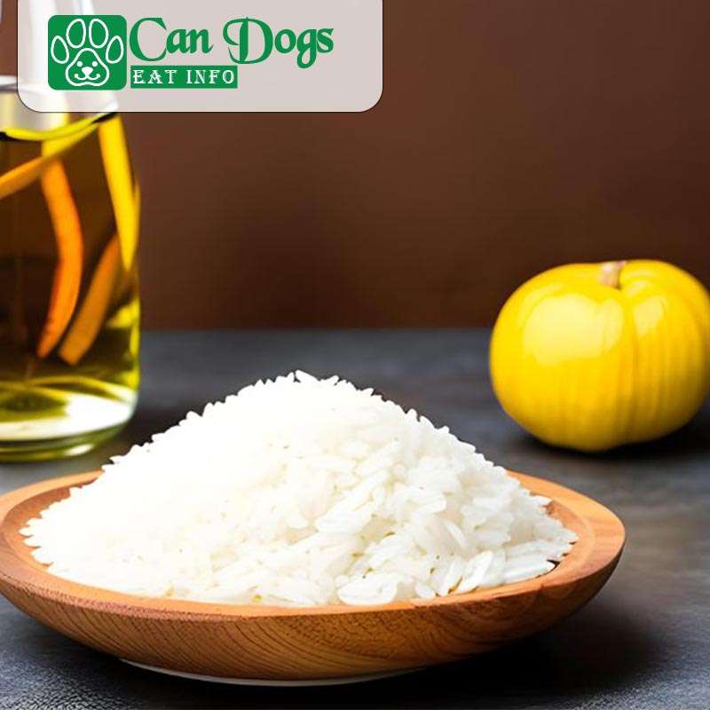 Potential Risks Associated with Feeding Rice Vinegar to Your Dog