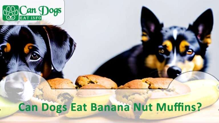 Can Dogs Eat Banana Nut Muffins? Is It Safe? (2024)