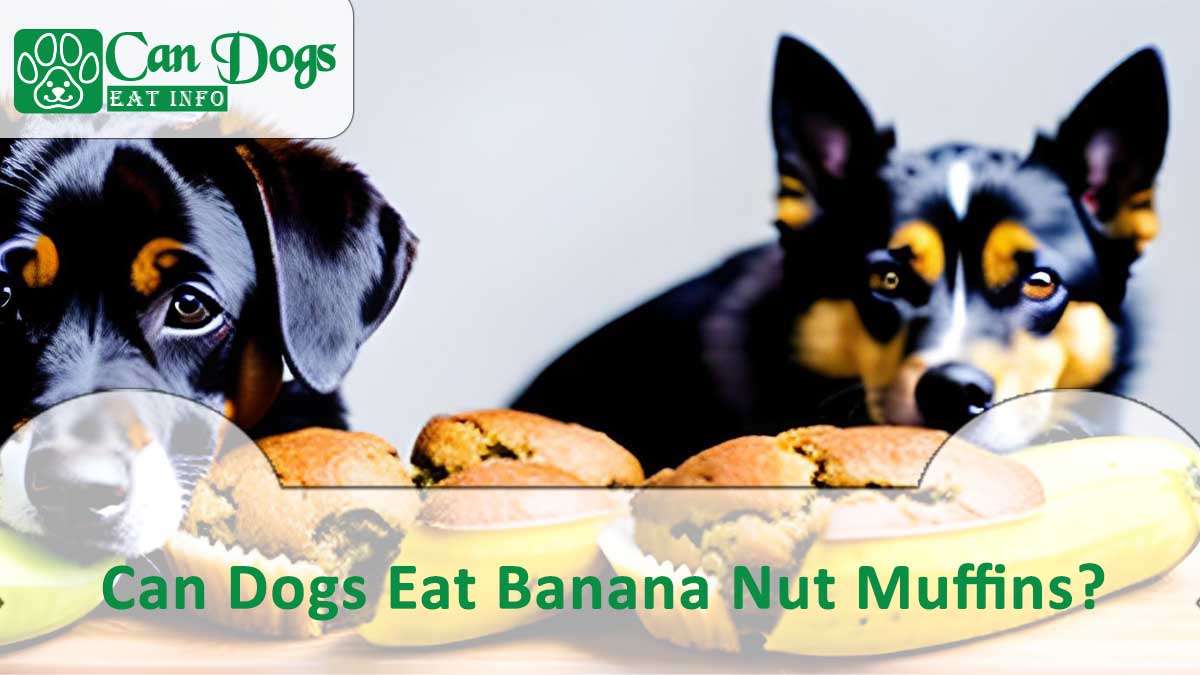 can Dogs Eat Banana Nut Muffins