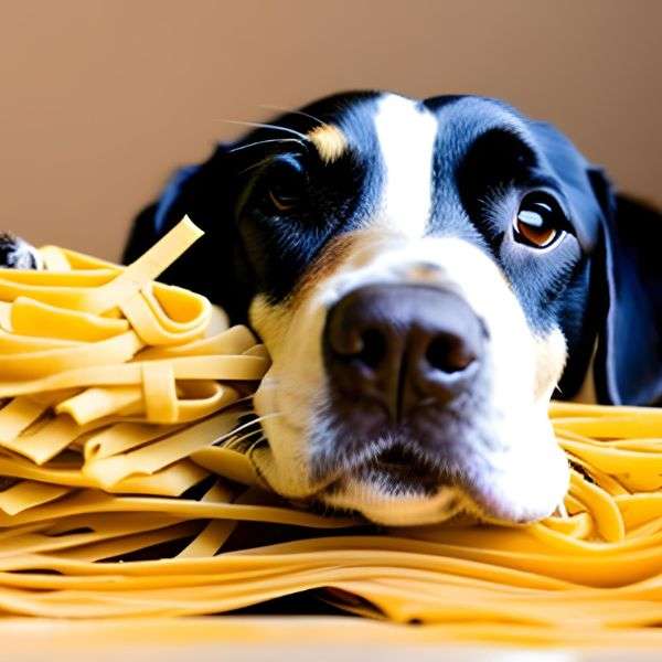 Best Alternatives of dried pasta for Dog