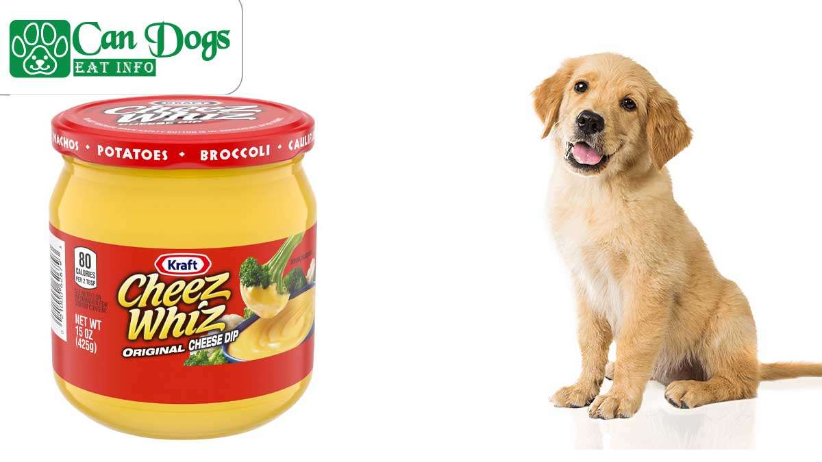 Can Dogs Eat Cheese Whiz?