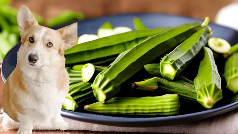 Can Dogs Eat Cooked Okra? Benefits for Dogs (2024)