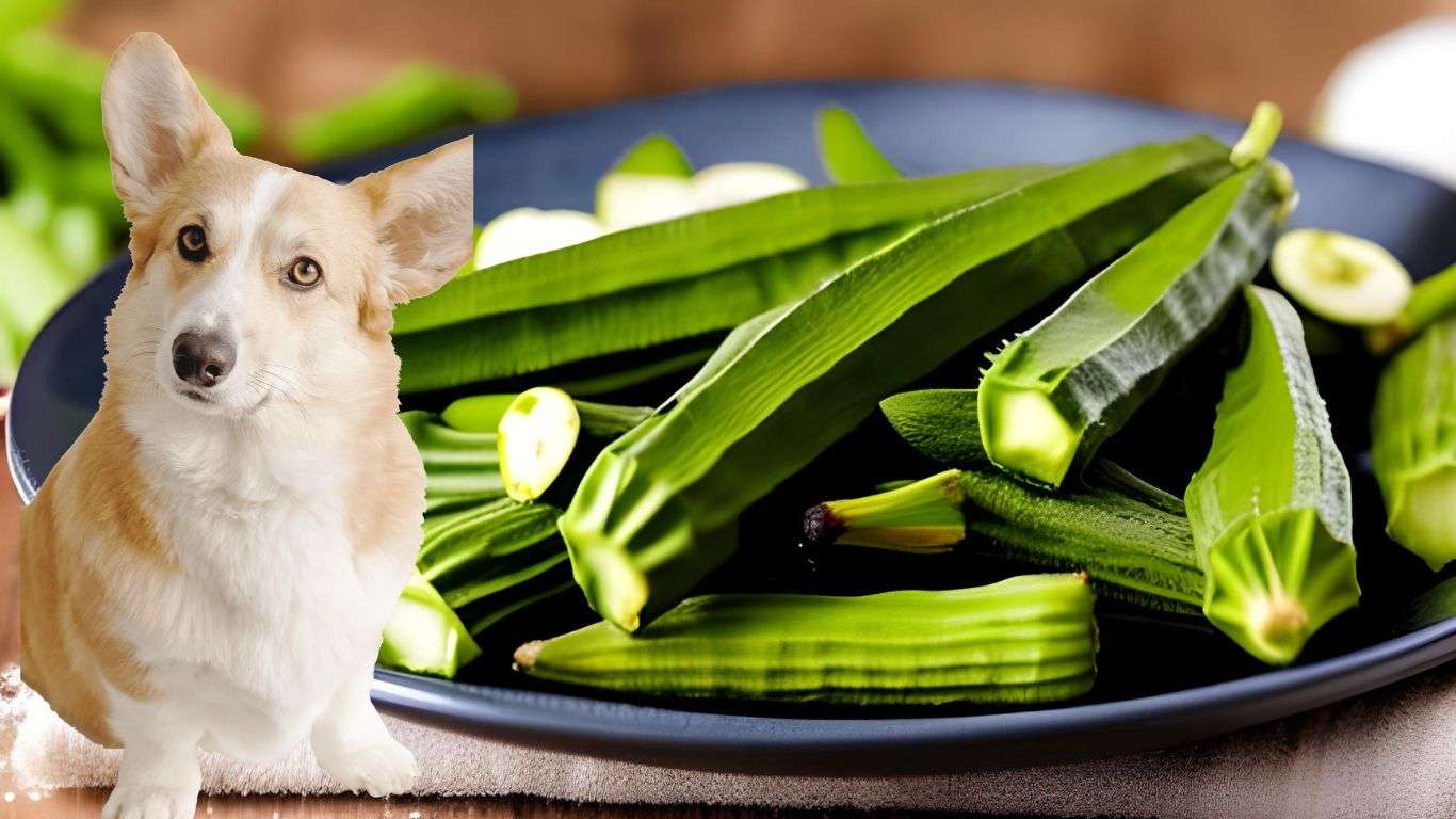 Can Dogs Eat Cooked Okra?