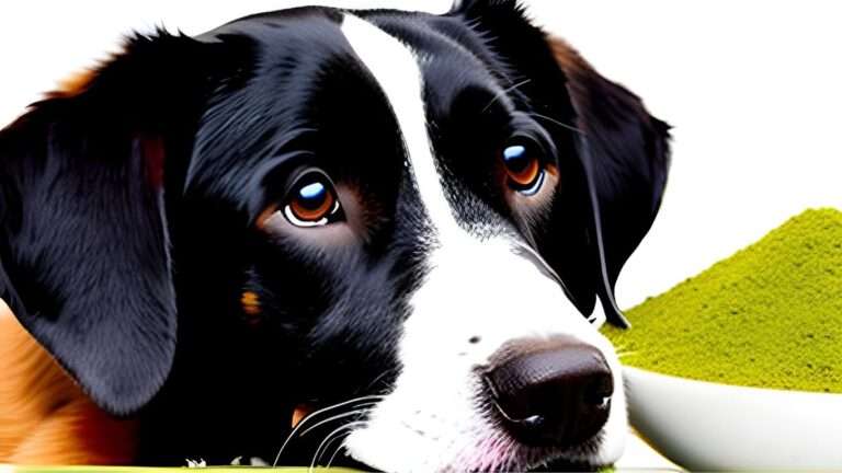 Can Dogs Eat Fenugreek? Explore Health Benefits (2024)