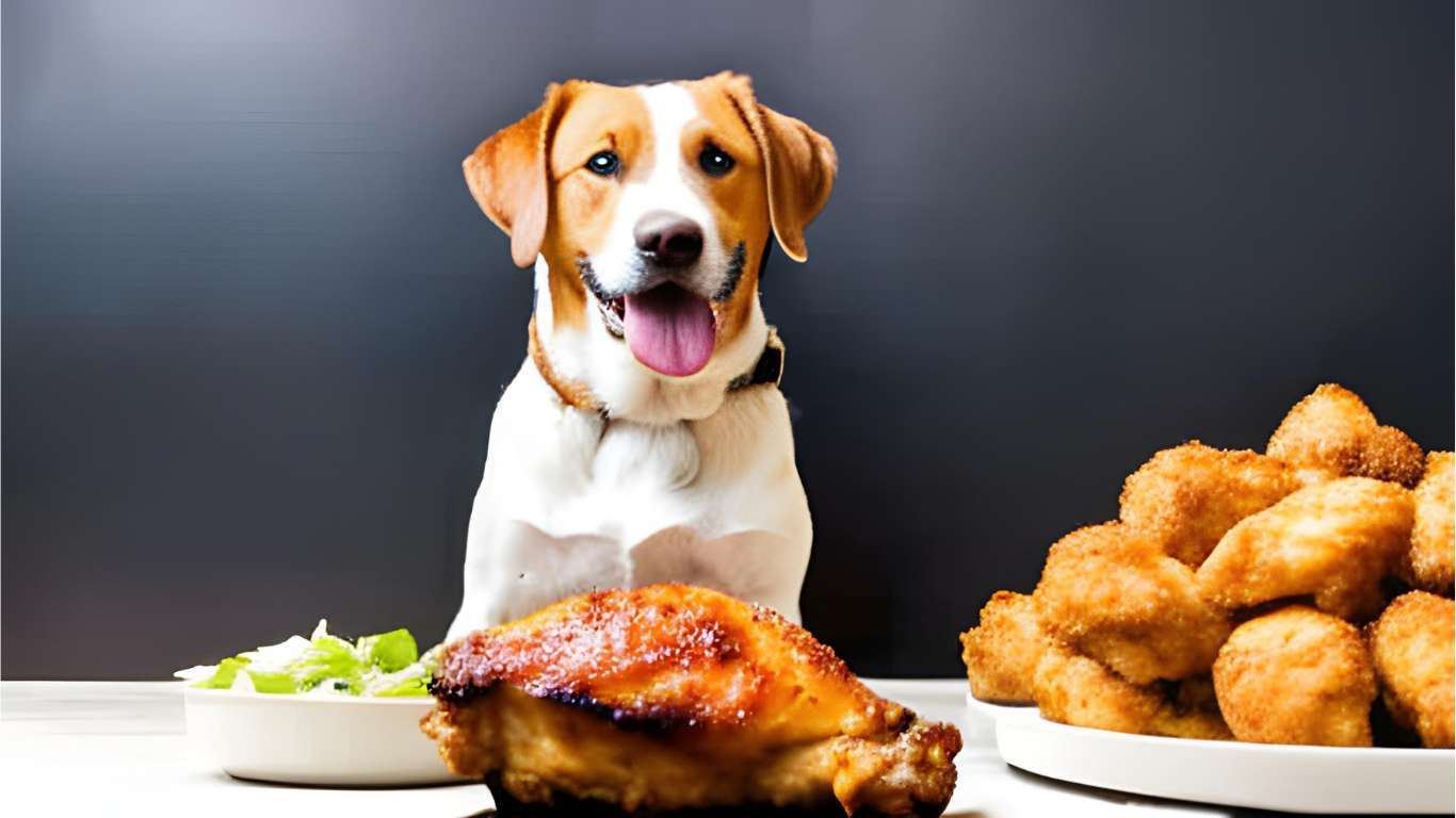 Can Dogs Eat Air Fried Chicken? Benefits & Risks (2023)