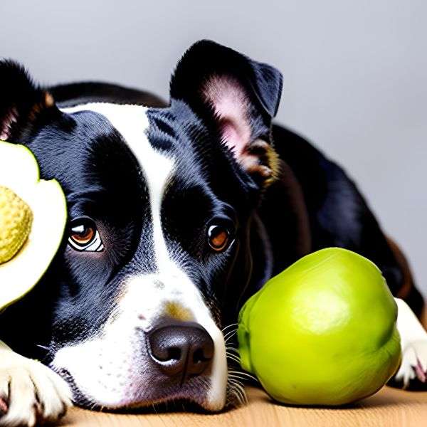 Potential Risks Associated with Cherimoya For Dogs Health