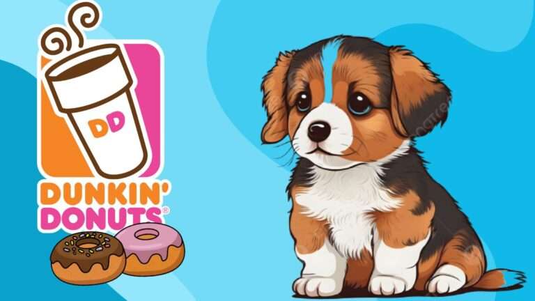 Can Dogs Eat Dunkin Donuts? Is It Safe? (2024)