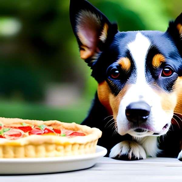 Potential Risks Associated with Feeding Quiche to Your Dogs 