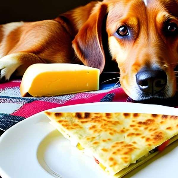 Benefits of Cheese Quesadillas for Dogs Health