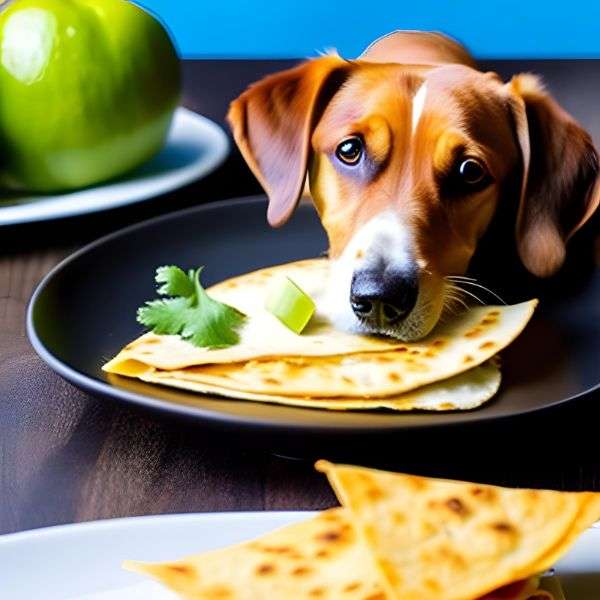 Potential Health Risks of cheese quesadillas  for Dogs Health
