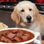 Can Dogs Eat Stew Meat