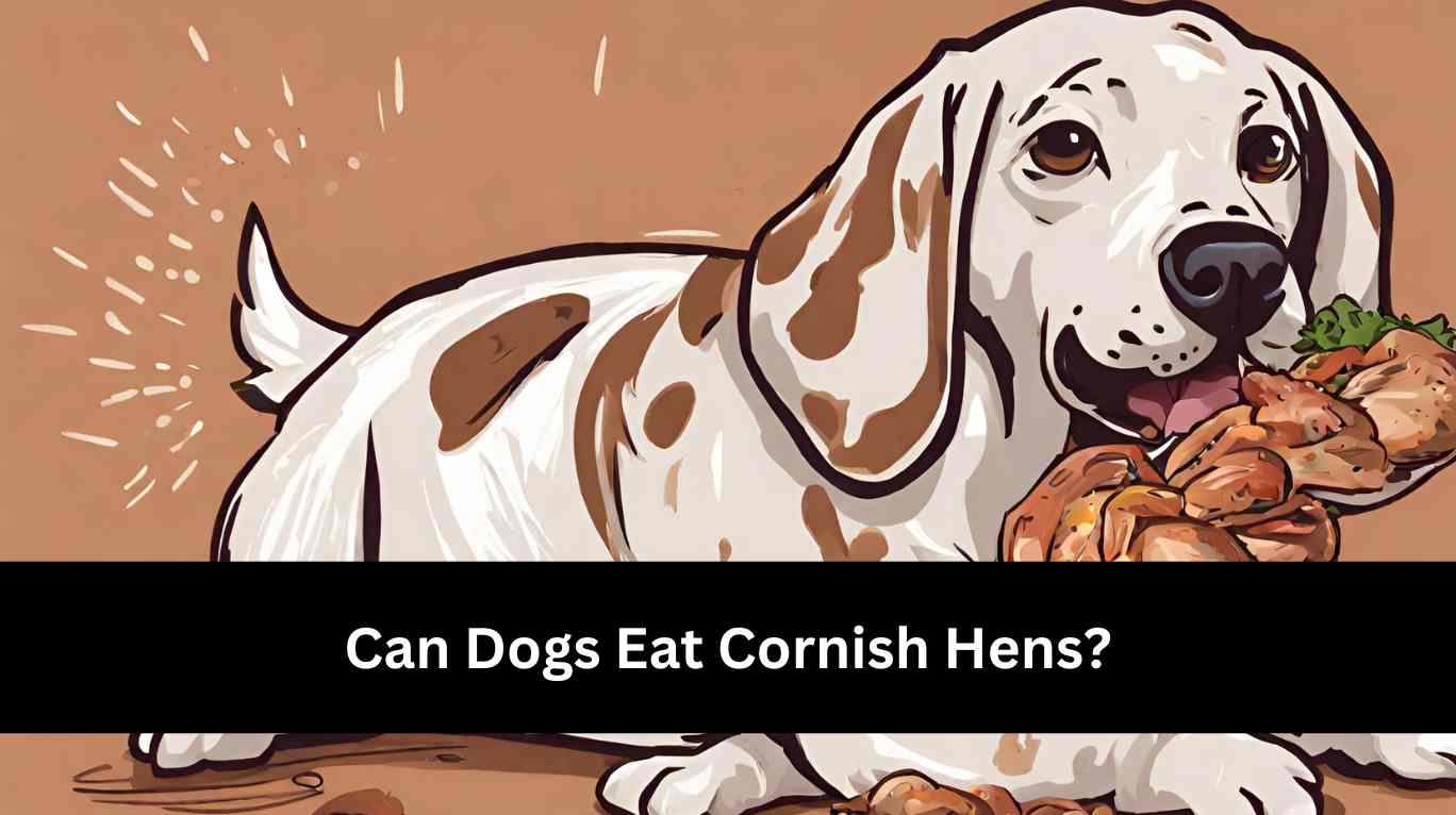 Can Dogs Eat Cornish Hens?