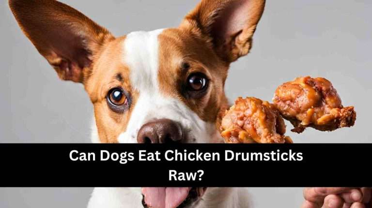 Can Dogs Eat Chicken Drumsticks Raw? Health Benefits (2024)